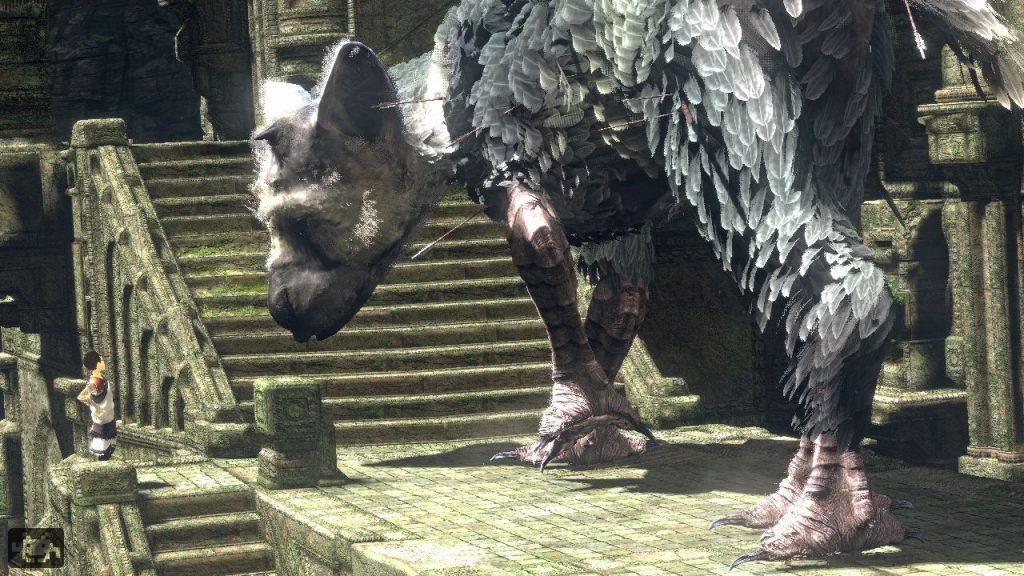 the last guardian