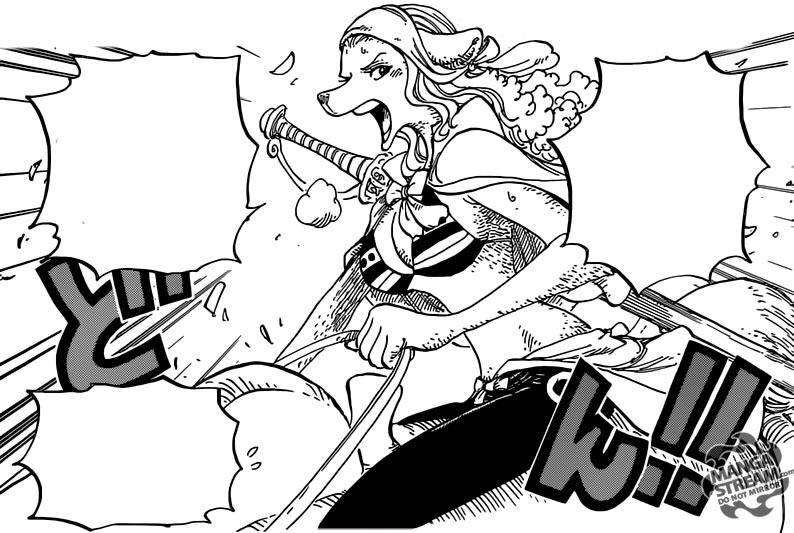 One Piece 804 a