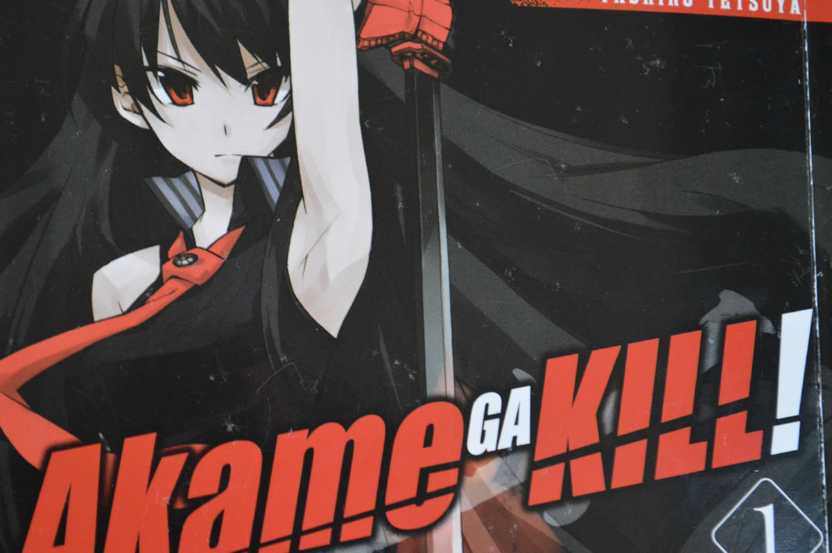 Os 20 personagens mais populares de Akame ga Kill! – As Super Listas